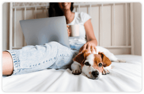 Image de l'article: Comparateur assurance animaux Trouvez la meilleure couverture - Actualités assurance animaux JeSwitch