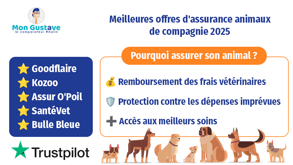 Image de l'article: Gospi.fr assurance animaux : Protégez vos compagnons fidèles - Actualités assurance animaux JeSwitch