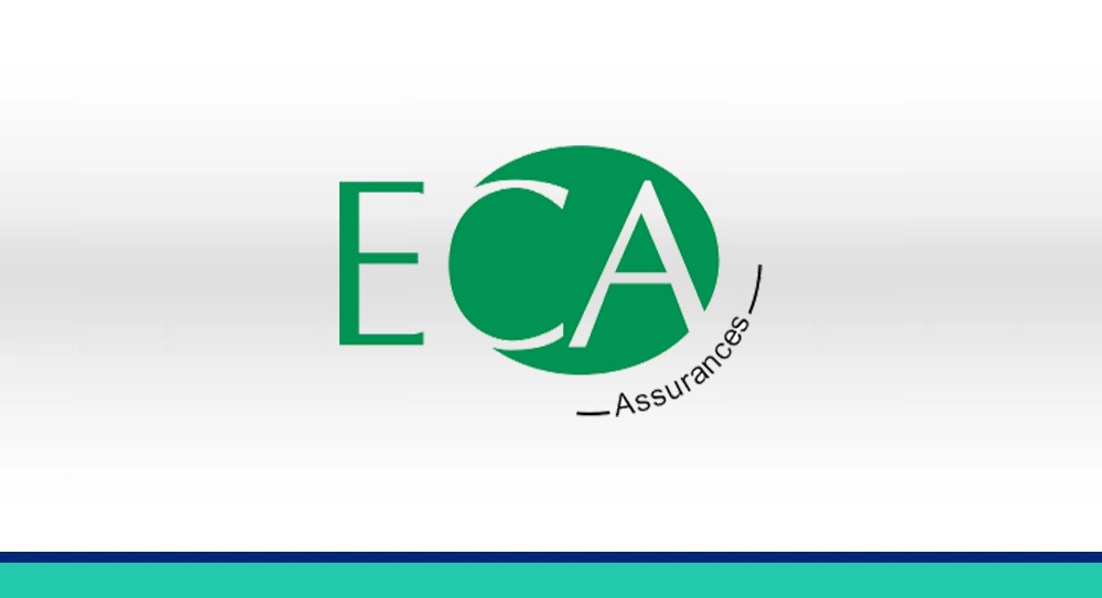 Image de l'article: Assurance animaux eca : Protégez votre compagnon à pattes - Actualités assurance animaux JeSwitch