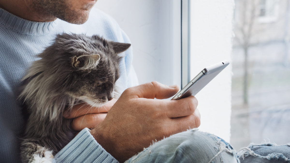 Image de l'article: Assurance santé animale 2026 : 4 idées reçues démystifiées - Actualités assurance animaux JeSwitch