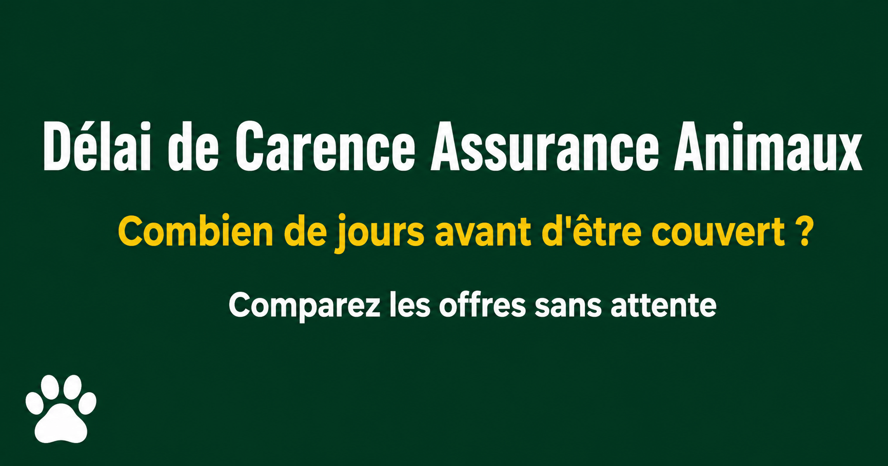 Image de l'article: Délai de Carence Assurance Animaux 2026 : Tout Savoir - Actualités assurance animaux JeSwitch
