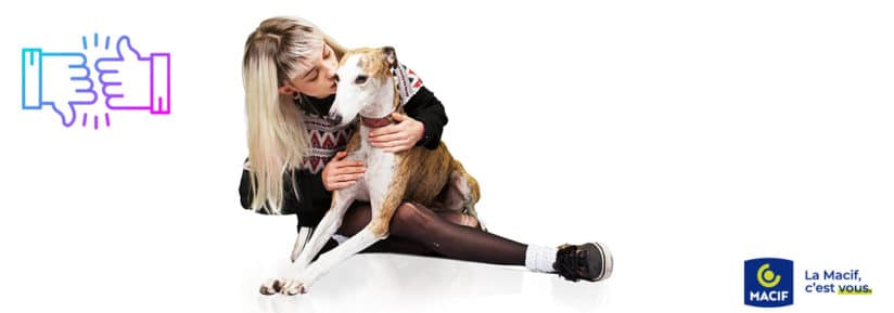 Image de l'article: Macif assurance pour animaux des protections sur mesure - Actualités assurance animaux JeSwitch