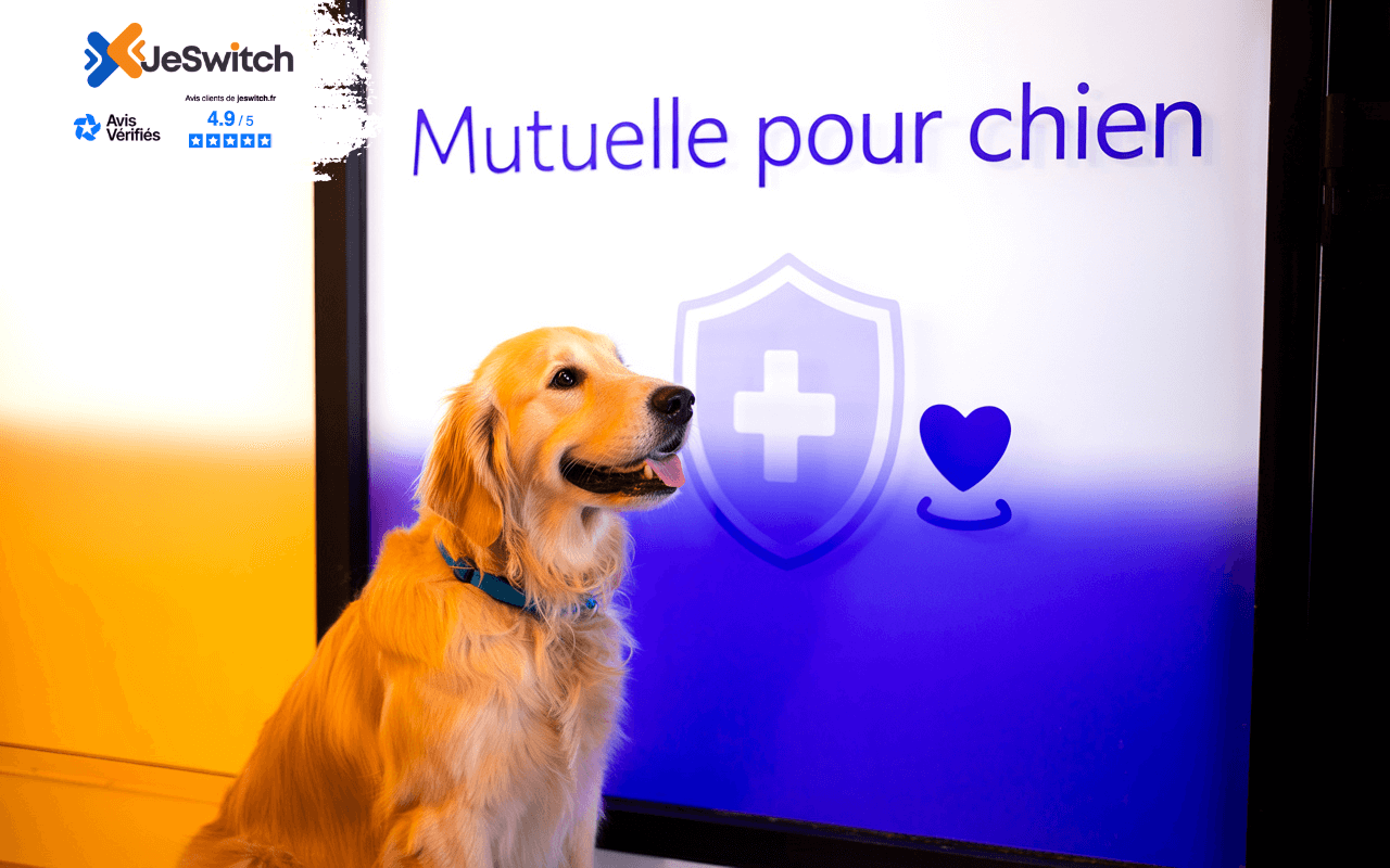 Image principale de l'article: Mutuelle pour Chien 2025 : Économisez 416€ par an - Actualités Assurance Animaux JeSwitch