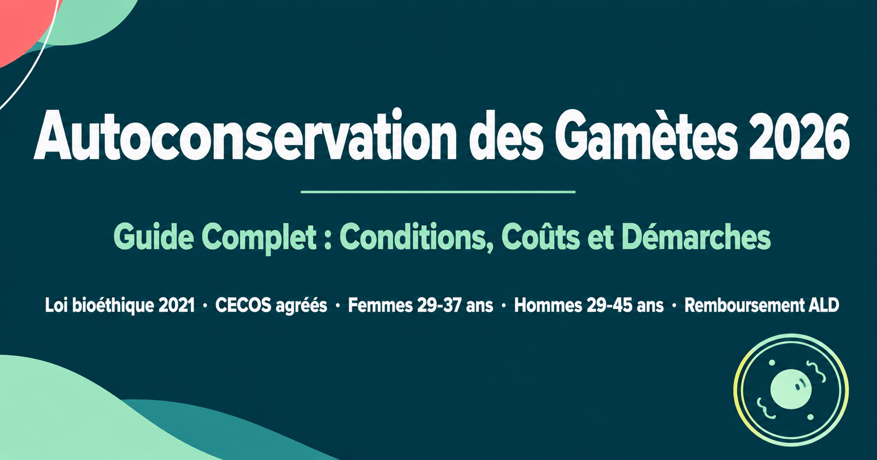 Image de l'article: Autoconservation des gamètes 2026 : 40,50€/an - Actualités mutuelle santé JeSwitch